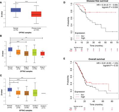 DDB2 represses epithelial-to-mesenchymal transition and sensitizes pancreatic ductal adenocarcinoma cells to chemotherapy